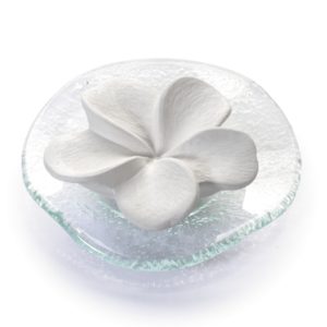 Primavera Aroma Stone Frangipani 擴香石-雞蛋花