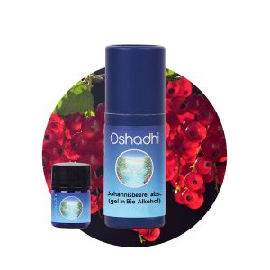 Oshadhi 黑醋栗原精(70%) 1ml