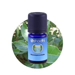Oshadhi Ravensara anisata 野生羅文沙 5ml