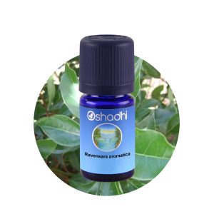 Oshadhi 野生洋茴香羅文莎葉 5ml
