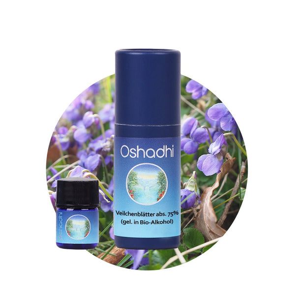 Oshadhi Violet Leaf Absolute 75% 紫羅蘭原精 1ml