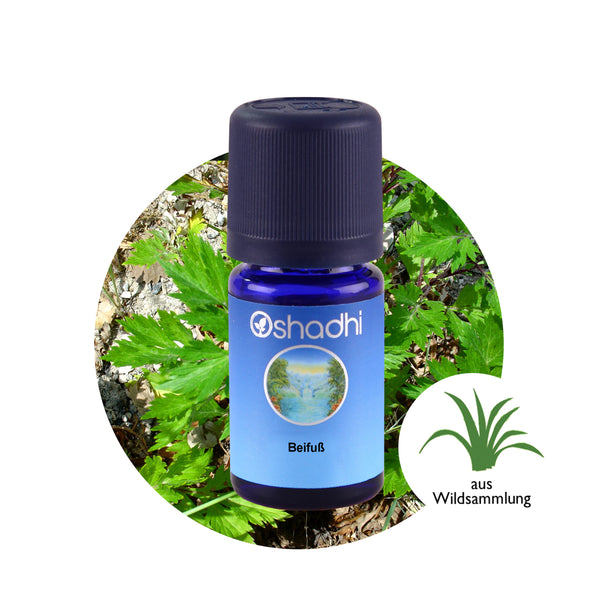 Oshadhi Mugwort Essential Oil 艾蒿精油 5ml