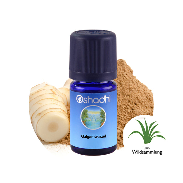 Oshadhi Galangal Root Essential Oil 高良薑根精油 3ml
