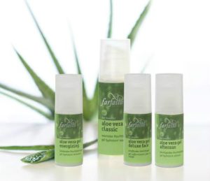 Aloe Vera 蘆薈