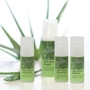 Aloe Vera 蘆薈