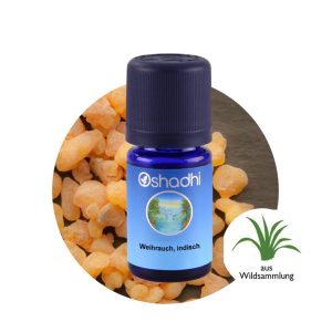 Oshadhi 野生印度乳香 Frankincense Serrata Indisch