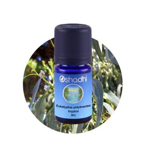 Oshadhi Organic Eucalyptus Polybractea, krypton 有機多苞葉尤加利(單萜酮) 5ml