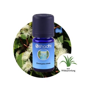 Oshadhi EUKALYPTUS DIVES 野生薄荷尤加利 10ml