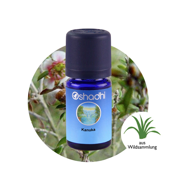 Oshadhi Kanuka Essential Oil 卡努卡精油 5ml