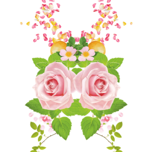 Farfalla Hippe Rose