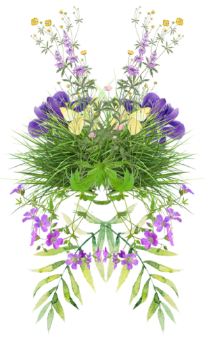 Schmetterlingsgarten蝴蝶花園