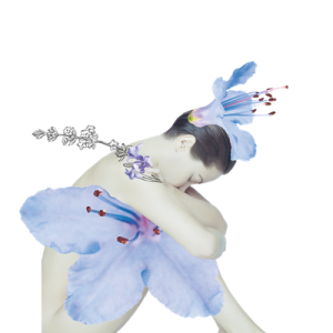 Farfalla Berglavendel