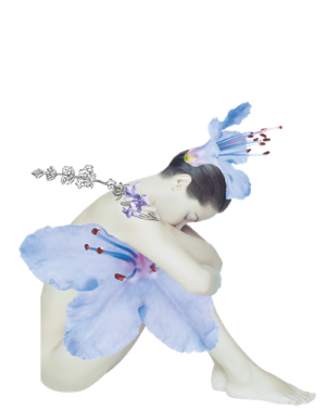 Farfalla Berglavendel