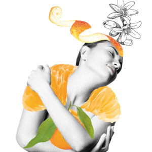 Farfalla Mandarine Carpe Diem