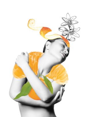 Farfalla Mandarine Carpe Diem