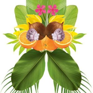 Madagaskar | 熱帶風情系列