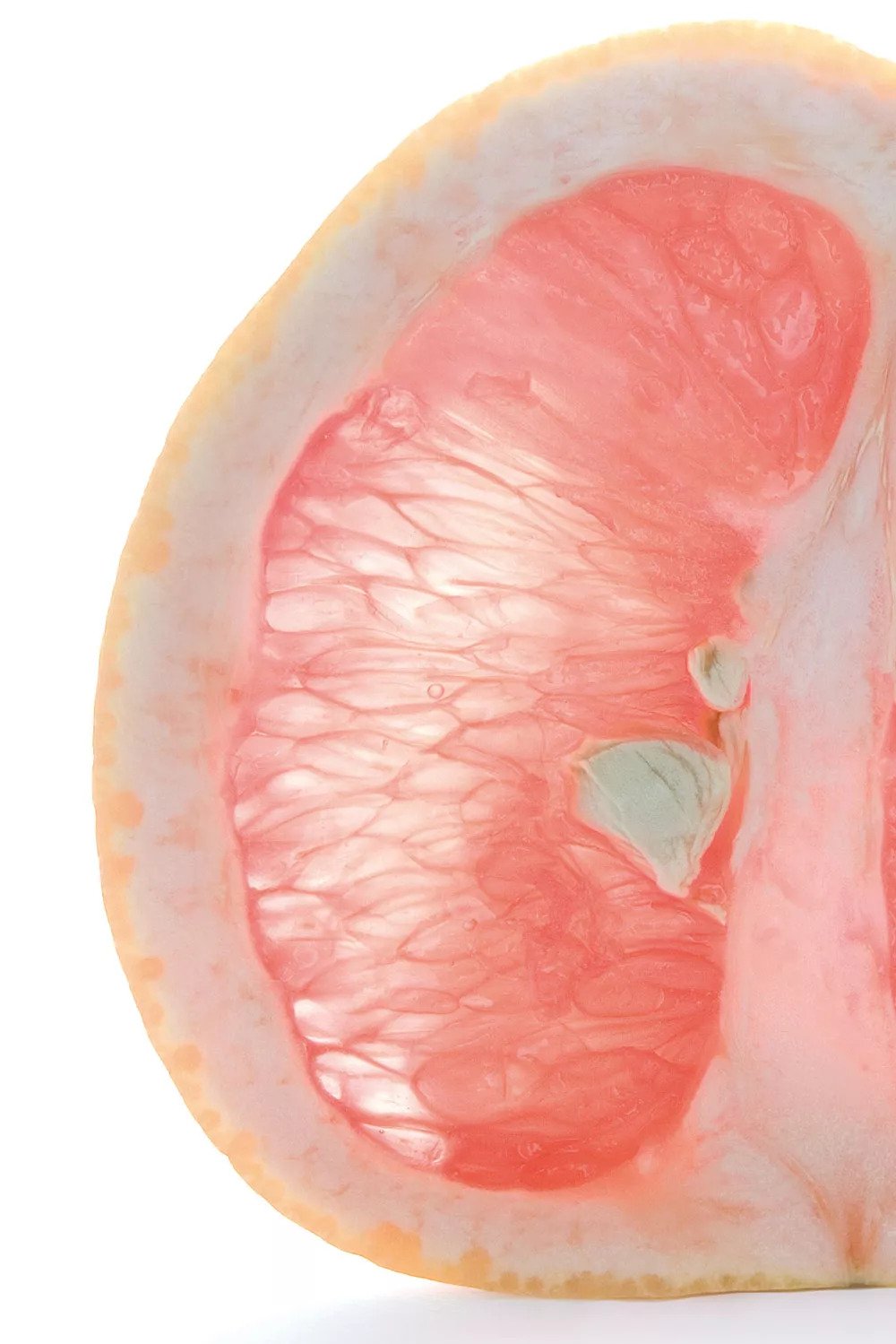 GSE CitroPlus® - Grapefruitseed-Extract 600 葡萄柚籽提取物:圖片 3